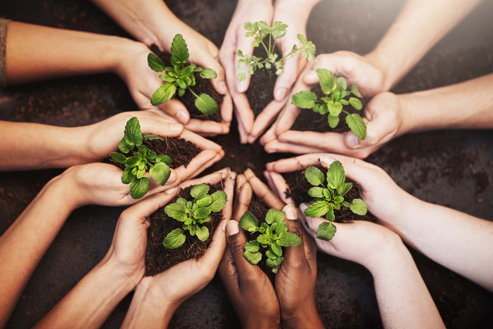 People who are holding plants in a circle